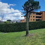 Oasis *