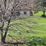 Oasis Διαμέρισμα *