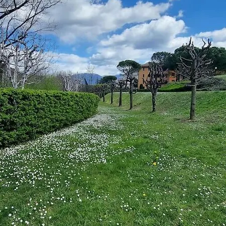 Oasis Апартаменты Комо