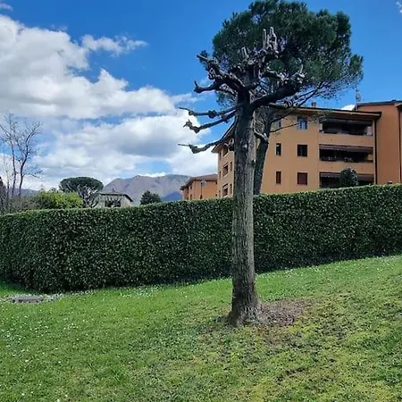 Oasis *