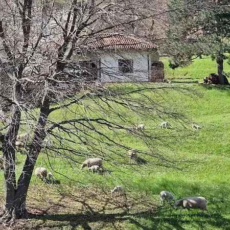 Oasis Апартаменты *