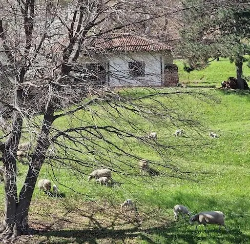 Oasis Διαμέρισμα *